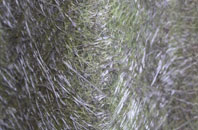 Long Bennington fibreglass roof work